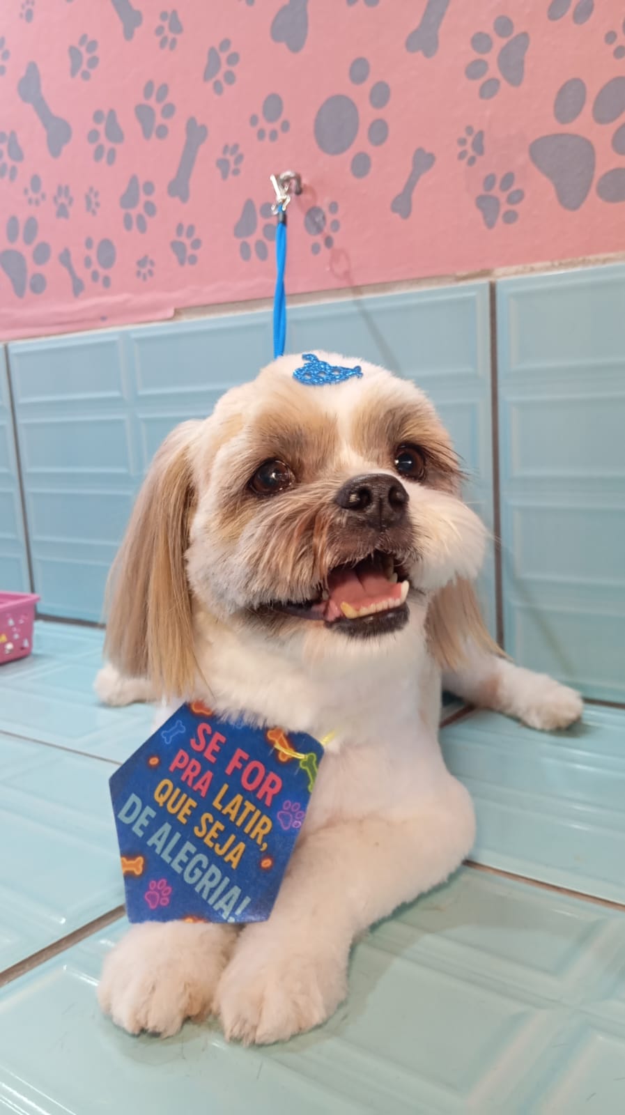Cachorrinho feliz